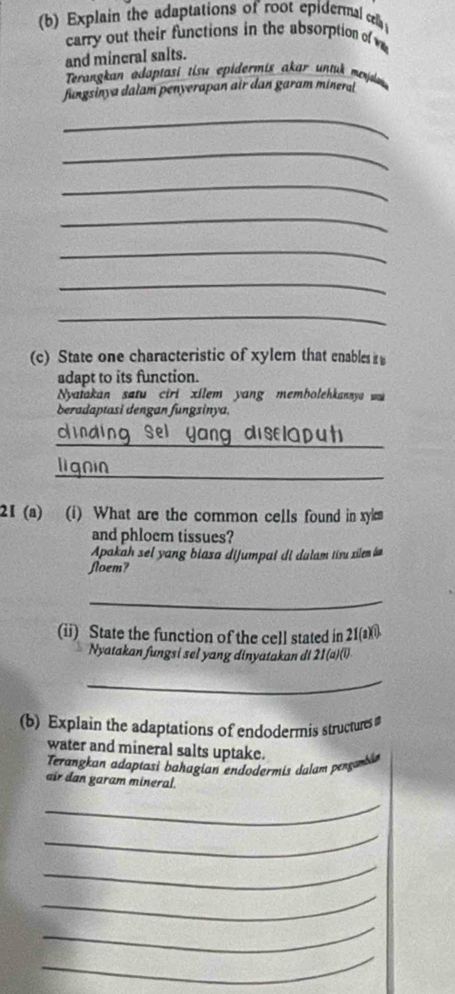 Explain the adaptations of root epidermal ce 
carry out their functions in the absorption of w 
and mineral salts. 
Terangkan adaptasi tisu epidermis akar untuk menjala 
fungsinya dalam penyerapan air dan garam mineral 
_ 
_ 
_ 
_ 
_ 
_ 
_ 
(c) State one characteristic of xylem that enables it 
adapt to its function. 
Nyaiakan satu ciri xilem yang membolehkannya w 
beradaptasi dengan fungsinya. 
_ 
_ 
21 (a) (i) What are the common cells found in xyk
and phloem tissues? 
Apakah sel yang biasa dijumpai di dalam tisu xilem ó 
floem? 
_ 
(ii) State the function of the cell stated in 21(a) 
Nyatakan fungsi sel yang dinyatakan di 21(a)(l) 
_ 
(b) Explain the adaptations of endodermis structures 
water and mineral salts uptake. 
Terangkan adaptasi bahagían endodermis dalam pengambia 
air dan garam mineral. 
_ 
_ 
_ 
_ 
_ 
_