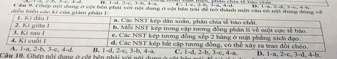 21-a, 2 -b, 3 -c, 4 -d. B. 1 -d, 2 -c, 3-b, 4 -a. C. 1 -c, I mện, phân chia tê bào chất. D. 1 -a, 2 -d, 3 -c, 4 -b.
2-b , 3-a, 4 -d.
Câu 9. Ghép nội dung ở cột bên phải với nội dung ở cột bên trái để trở thành một câu có nội dung đúng về
diễn biến các kì của giảm phân I:
. C. 1 -d, 2-b, 3-c, 4-a. D. 1-a, 2-c, 3-d, 4 -b.
Câu 10. Ghép nôi dụng ở cột bên phải với nổi dụng