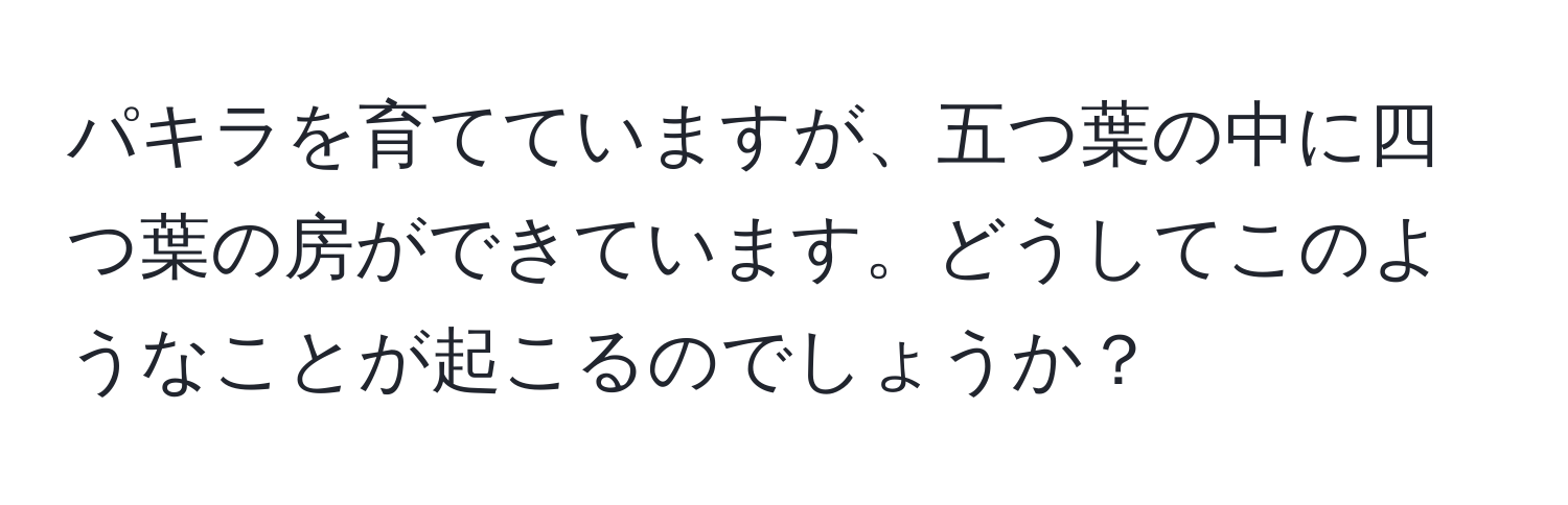 パキラを育てていますが、五つ葉の中に四つ葉の房ができています。どうしてこのようなことが起こるのでしょうか？