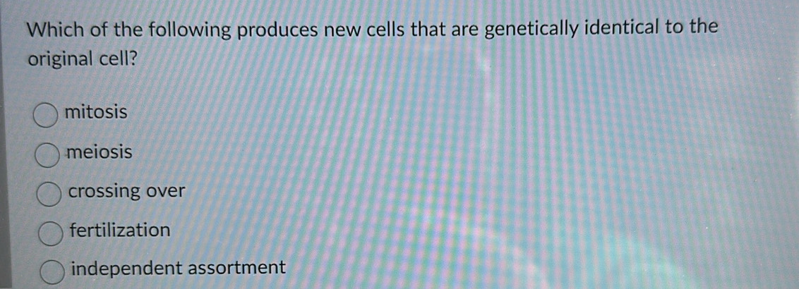 Which of the following produces new cells that are genetically identical to the
original cell?
mitosis
meiosis
crossing over
fertilization
independent assortment