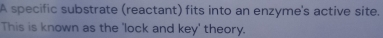 A specific substrate (reactant) fits into an enzyme's active site. 
This is known as the 'lock and key' theory.