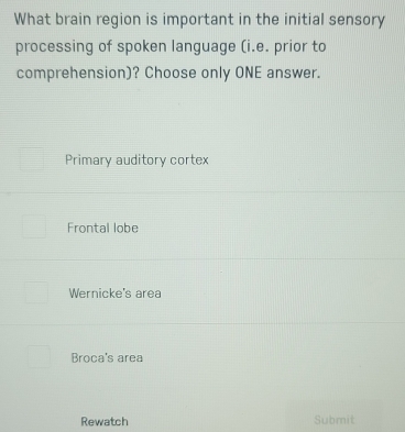 What brain region is important in the initial sensory
processing of spoken language (i.e. prior to
comprehension)? Choose only ONE answer.
Primary auditory cortex
Frontal lobe
Wernicke's area
Broca's area
Rewatch Submit