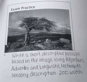 Write a short doscriptive passage 
based on the image using Adjectives 
Advenbs and Linguistictechniques, 
sensory description. 200 words.