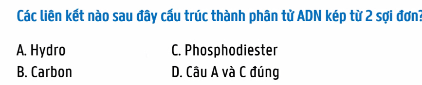 Các liên kết nào sau đây cấu trúc thành phân tử ADN kép từ 2 sợi đơn?
A. Hydro C. Phosphodiester
B. Carbon D. Câu A và C đúng