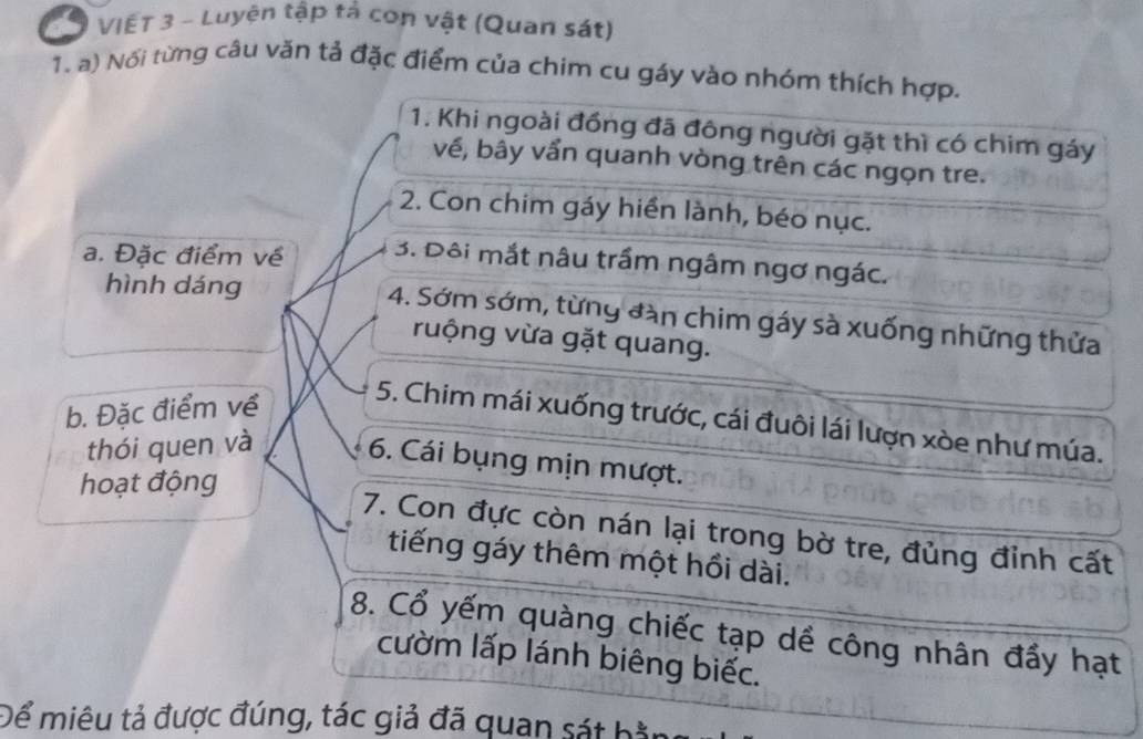 VIếT 3 - Luyện tập tả con vật (Quan sát) 
1. a) Nổi từng câu văn tả đặc điểm của chim cu gáy vào nhóm thích hợp. 
1. Khi ngoài đồng đã đông người gặt thì có chim gáy 
về, bây vẩn quanh vòng trên các ngọn tre. 
2. Con chim gáy hiển lành, béo nục. 
a. Đặc điểm về 3. Đôi mắt nâu trấm ngâm ngơ ngác. 
hình dáng 
4. Sớm sớm, từng đàn chim gáy sà xuống những thửa 
ruộng vừa gặt quang. 
b. Đặc điểm về 
5. Chim mái xuống trước, cái đuôi lái lượn xòe như múa. 
thói quen và 6. Cái bụng mịn mượt. 
hoạt động 
7. Con đực còn nán lại trong bờ tre, đủng đỉnh cất 
tiếng gáy thêm một hồi dài. 
8. Cổ yếm quàng chiếc tạp dề công nhân đẩy hạt 
cườm lấp lánh biêng biếc. 
Để miêu tả được đúng, tác giả đã quan sát bầu