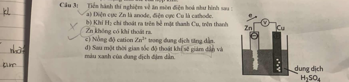 Tiến hành thí nghiệm về ăn mòn điện hoá như hình sau : 
a) Điện cực Zn là anode, điện cực Cu là cathode. 
b) Khí H_2 chỉ thoát ra trên bề mặt thanh Cu, trên thanh 
Zn không có khí thoát ra. 
c) Nồng độ cation Zn^(2+) trong dung dịch tăng dần. 
d) Sau một thời gian tốc độ thoát khí sẽ giảm dần và 
màu xanh của dung dịch đậm dần.
H_2SO_4