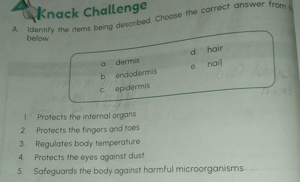 Knack Challenge
A. Identify the items being described. Choose the correct answer from t
below.
d. hair
a. dermis
b. endodermis e. nail
c. epidermis
1. Protects the internal organs
2. Protects the fingers and toes
3. Regulates body temperature
4. Protects the eyes against dust
5. Safeguards the body against harmful microorganisms