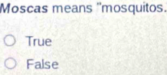 Moscas means ''mosquitos.
True
False