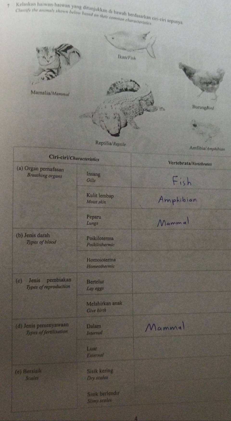 Kelaskan haiwan-haiwan yang ditunjukkan di bawah berdasarkan ciri-ciri sepunya 
Classify the animals shown below based on their common characteristics 
ibian 
A