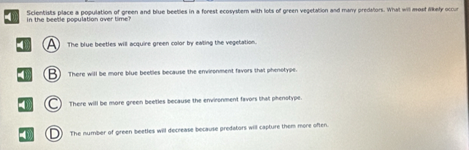 Scientists place a population of green and blue beetles in a forest ecosystem with lots of green vegetation and many predators. What will most likefy occur
in the beetle population over time?
4 A The blue beetles will acquire green color by eating the vegetation.
B There will be more blue beetles because the environment favors that phenotype.
( There will be more green beetles because the environment favors that phenotype.
D The number of green beetles will decrease because predators will capture them more often.