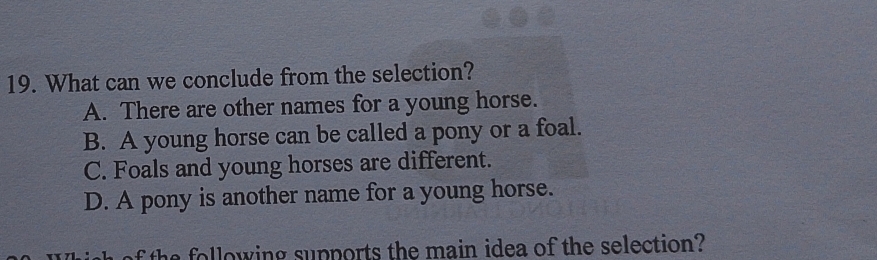 What can we conclude from the selection?
A. There are other names for a young horse.
B. A young horse can be called a pony or a foal.
C. Foals and young horses are different.
D. A pony is another name for a young horse.
f the following supports the main idea of the selection?