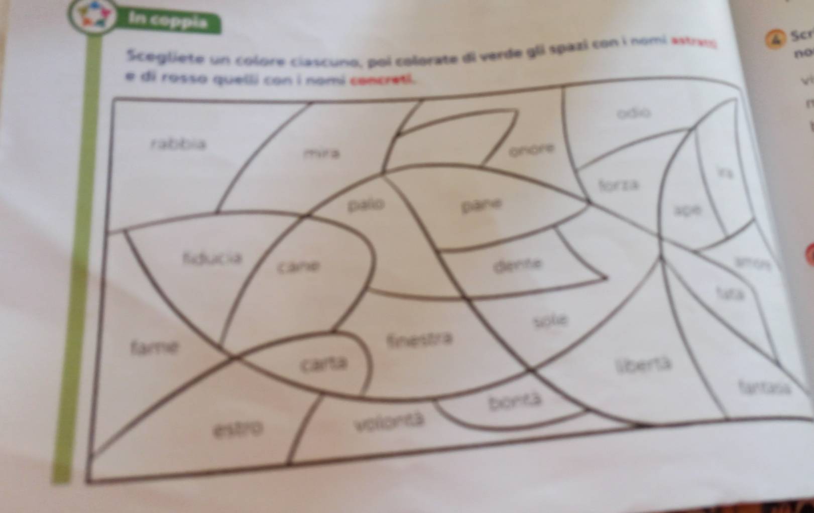 In coppis 
Scegliete un colore clascuno, poi colorate di verde gli spazi con i nomi astram ④ Scr 
no 
vi 
n