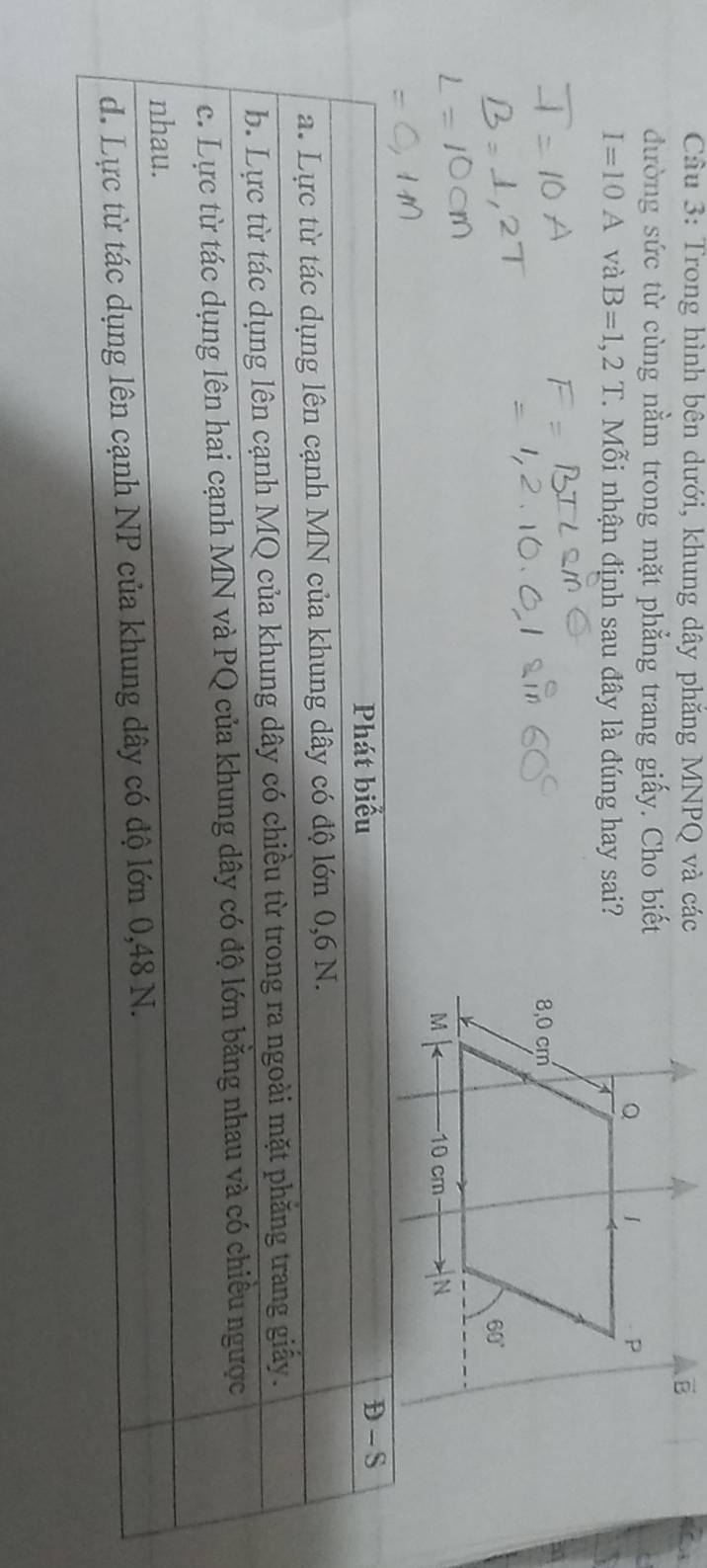 Cầu 3: Trong hình bên dưới, khung dây phăng MNPQ và các
đường sức từ cùng nằm trong mặt phẳng trang giấy. Cho biết
I=10A và B=1,2T.  Mỗi nhận định sau đây là đúng hay sai?