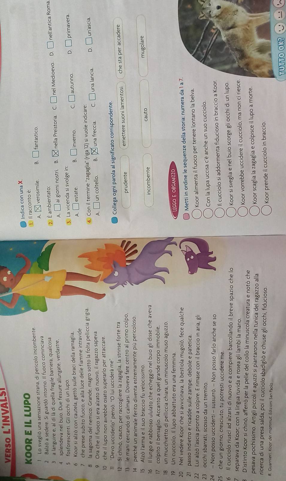 VERSO L'INVALSI
Indica con una
KOOR E IL LUPO
1. Il racconto è:
1 Lo svegliò una sensazione strana, di pericolo incombente.
A.
2 Balzò a sedere. Si guardò intorno. Il fuoco cominciava verosimile. B.□  fantastico.
3  a languire e, al di là di quella fragile barriera, qualcosa
A. □ ai giorni nostri. B. nella Preistoria. C. □ nel Medioevo. D. □ nell'antica Roma
4 splendeva nel buio. Due fessure allungate, verdastre, 2. é ambientato:
5 fosforescenti. Gli occhi di un lupo.
6 Koor si alzò con cautela, gettò sulle braci della ramaglia, 3. La vicenda si svolge in:
7 che prese subito fuoco, e alla luce delle fiamme intravide A. □ estate. B. □ inverno. C. □ autunno. D. □ primavera.
8 la sagoma del nemico. Grande, magro sotto la folta pelliccia grigia.
4. Con il termine ''zagaglia'' (riga 12) si vuole indicare:
9 Ora che il fuoco si era alzato di nuovo, il ragazzo sapeva C. □ una lancia. D. □ un'ascia
A. □ un coltello. B. una freccia.
10 che il lupo non avrebbe osato superarlo per attaccare.
11 “Devo ucciderlo” pensò. “O lui ucciderá me”.
12 Si chinò, cauto, per raccogliere la zagaglia, la strinse forte tra Collega ogni parola al significato corrispondente.
13 le mani cercando di calmarsi. Doveva fare centro al primo colpo,
prudente emettere suoni lamentosi che sta per accadere
14  perché un animale ferito diventa estremamente più pericoloso.
15 Alzò l'arma e il suo braccio fu velocissimo. mugolare
16 Il lungo e rabbioso ululato che echeggiò nel buio gli disse che aveva
incombente cauto
17 colpito il bersaglio. Accanto a quel grande corpo immobile,
18 un mucchietto di pelliccia chiara, un minuscolo muso aguzzo.
19 Un cucciolo. Il lupo abbattuto era una femmina. LEGGO E ORGANIZZO
20 Nel vedere Koor che si avvicinava, la bestiola mugolò, fece qualche
Metti in ordine le sequenze della storia: numera da 1 a 
21 passo indietro e ricadde sulle zampe, debole e patetica.
22 Lui alzò l'ascia pronto a colpire. E rimase con il braccio in aria, gli
Koor alimenta il fuoco per tenere lontano la belva.
23 occhi sbarrati, scosso da un tremito.
Con la lupa uccisa c'è anche un suo cucciolo.
24 - Non posso ucciderti - sussurrò. - Non posso farlo anche se so
25  che un giorno, cresciuto, tu potresti uccidere me.
Il cucciolo si addormenta fiducioso in braccio a Koor.
6 Il cucciolo riusci ad alzarsi di nuovo e a compiere barcollando il breve spazio che lo Koor si sveglia e nel buio scorge gli occhi di un lupo.
7 separava da Koor; con la lingua ruvida e rosea gli lambì la mano.
Koor vorrebbe uccidere il cucciolo, ma non ci riesce.
D'istinto Koor si chinò, afferrò per la pelle del collo la minuscola creatura e notò che
pesava pochissimo. Artigli piccoli e aguzzi si piantarono nella tunica del ragazzo alla
Koor scaglia la zagaglia e colpisce il lupo a morte.
ricerca di una presa salda, poi il cucciolo sbadigliò e chiuse gli occhi, fiducioso.
Koor prende il cucciolo in braccio.
R. Guarnieri, Koor dei mammut, Edizioni San Paolo
TUTTO OK?
