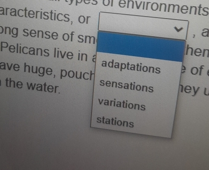 of environments 
aracteristics, or 
ong sense of sm 
, a 
hen 
Pelicans live in adaptations of 
ave huge, pouch sensations hey . 
the water. 
variations 
stations