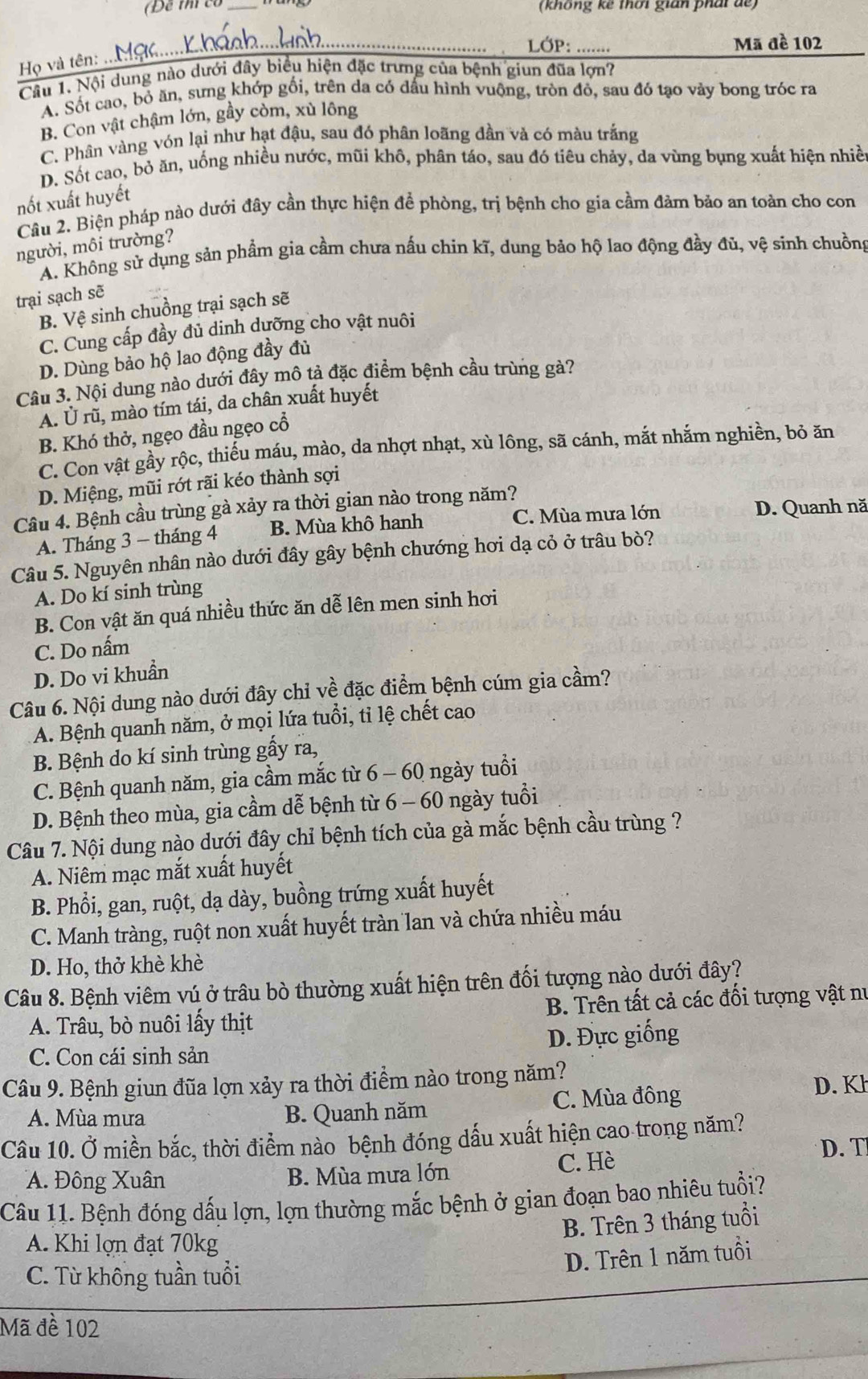 (Để thí có _(không kê thời gián phái dế)
_LỚP: _…
Mã đề 102
Họ và tên: ..  
Câu 1. Nội dung nào dưới đây biểu hiện đặc trưng của bệnh giun đũa lợn?
A. Sốt cao, bỏ ăn, sưng khớp gối, trên da có dấu hình vuộng, tròn đỏ, sau đó tạo vảy bong tróc ra
B. Con vật chậm lớn, gầy còm, xù lông
C. Phân vàng vón lại như hạt đậu, sau đó phân loãng đần và có màu trắng
D. Sốt cao, bỏ ăn, uống nhiều nước, mũi khô, phân táo, sau đó tiêu chảy, da vùng bụng xuất hiện nhiề
nốt xuất huyết
Câu 2. Biện pháp nào dưới đây cần thực hiện để phòng, trị bệnh cho gia cầm đảm bảo an toàn cho con
người, môi trường?
A. Không sử dụng sản phẩm gia cầm chưa nấu chin kĩ, dung bảo hộ lao động đầy đủ, vệ sinh chuồng
trại sạch sẽ
B. Vệ sinh chuồng trại sạch sẽ
C. Cung cấp đầy đủ dinh dưỡng cho vật nuôi
D. Dùng bảo hộ lao động đầy đủ
Câu 3. Nội dung nào dưới đây mô tả đặc điểm bệnh cầu trùng gà?
A. Ủ rũ, mào tím tái, da chân xuất huyết
B. Khó thở, ngẹo đầu ngẹo cổ
C. Con vật gầy rộc, thiếu máu, mào, da nhợt nhạt, xù lông, sã cánh, mắt nhắm nghiền, bỏ ăn
D. Miệng, mũi rớt rãi kéo thành sợi
Câu 4. Bệnh cầu trùng gà xảy ra thời gian nào trong năm?
A. Tháng 3 - tháng 4 B. Mùa khô hanh C. Mùa mưa lớn
D. Quanh nă
Câu 5. Nguyên nhân nào dưới đây gây bệnh chướng hơi dạ cỏ ở trâu bò?
A. Do kí sinh trùng
B. Con vật ăn quá nhiều thức ăn dễ lên men sinh hơi
C. Do nấm
D. Do vi khuẩn
Câu 6. Nội dung nào dưới đây chỉ về đặc điểm bệnh cúm gia cầm?
A. Bệnh quanh năm, ở mọi lứa tuổi, tỉ lệ chết cao
B. Bệnh do kí sinh trùng gấy ra,
C. Bệnh quanh năm, gia cầm mắc từ 6 - 60 ngày tuổi
D. Bệnh theo mùa, gia cầm dễ bệnh từ 6 - 60 ngày tuổi
Câu 7. Nội dung nào dưới đây chỉ bệnh tích của gà mắc bệnh cầu trùng ?
A. Niêm mạc mắt xuất huyết
B. Phổi, gan, ruột, dạ dày, buồng trứng xuất huyết
C. Manh tràng, ruột non xuất huyết tràn lan và chứa nhiều máu
D. Ho, thở khè khè
Câu 8. Bệnh viêm vú ở trâu bò thường xuất hiện trên đối tượng nào dưới đây?
A. Trâu, bò nuôi lấy thịt B. Trên tất cả các đối tượng vật nư
C. Con cái sinh sản D. Đực giống
Câu 9. Bệnh giun đũa lợn xảy ra thời điểm nào trong năm?
A. Mùa mưa B. Quanh năm C. Mùa đông D. Kh
Câu 10. Ở miền bắc, thời điểm nào bệnh đóng dấu xuất hiện cao trong năm?
D. T
A. Đông Xuân B. Mùa mưa lớn C. Hè
Câu 11. Bệnh đóng dấu lợn, lợn thường mắc bệnh ở gian đoạn bao nhiêu tuổi?
B. Trên 3 tháng tuổi
A. Khi lợn đạt 70kg
D. Trên 1 năm tuổi
C. Từ không tuần tuổi
Mã đề 102