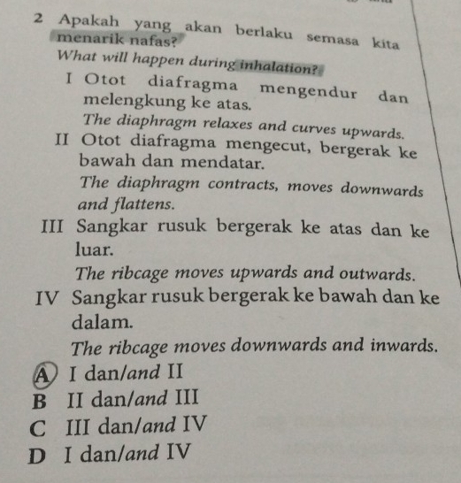 Apakah yang akan berlaku semasa kita
menarik nafas?
What will happen during inhalation?
I Otot diafragma mengendur dan
melengkung ke atas.
The diaphragm relaxes and curves upwards.
II Otot diafragma mengecut, bergerak ke
bawah dan mendatar.
The diaphragm contracts, moves downwards
and flattens.
III Sangkar rusuk bergerak ke atas dan ke
luar.
The ribcage moves upwards and outwards.
IV Sangkar rusuk bergerak ke bawah dan ke
dalam.
The ribcage moves downwards and inwards.
AI dan/and II
B II dan/and III
C III dan/and IV
D I dan/and IV