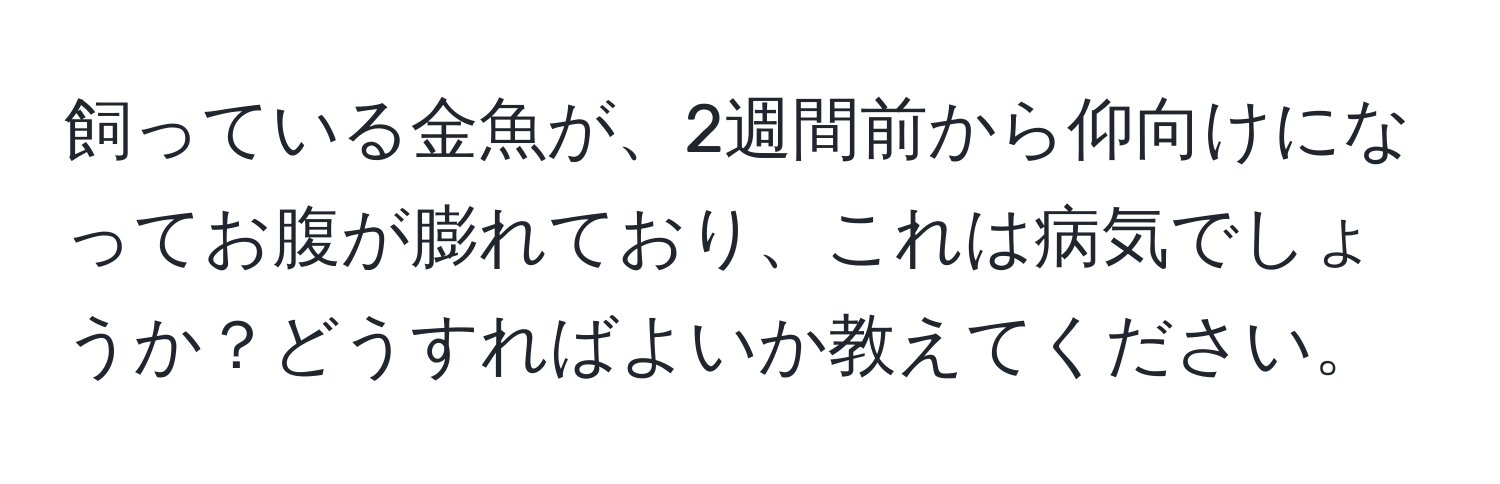 飼っている金魚が、2週間前から仰向けになってお腹が膨れており、これは病気でしょうか？どうすればよいか教えてください。