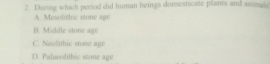 During which period did human beings domesticate plants and animale
A. Mesolithic stone age
B. Middle stone age
C. Neolithic stone age
D. Palaeolithic stone age