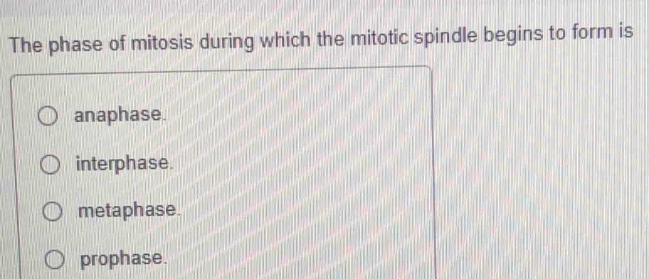 The phase of mitosis during which the mitotic spindle begins to form is
anaphase.
interphase.
metaphase.
prophase.