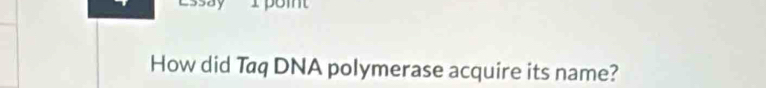 How did Taq DNA polymerase acquire its name?