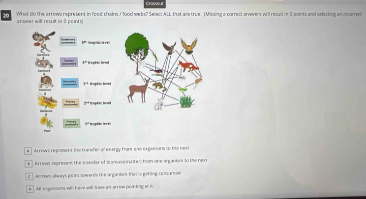 Solved: Crossout 20 What do the arrows represent in food chains / food ...