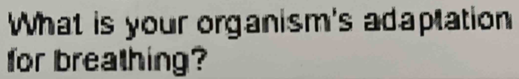 What is your organism's adaptation 
for breathing?