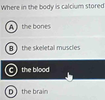 Where in the body is calcium stored
A the bones
B the skeletal muscles
the blood
D the brain