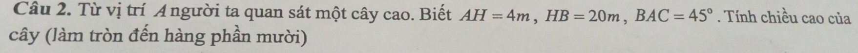 Từ vị trí A người ta quan sát một cây cao. Biết AH=4m, HB=20m, BAC=45°. Tính chiều cao của 
cây (làm tròn đến hàng phần mười)
