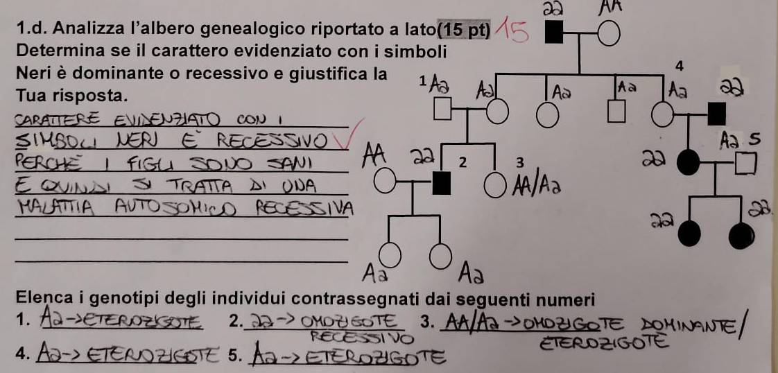 Analizza l’albero genealogico riportato a lato(15 pt) 
Determina se il carattero evidenziato con i simboli 
Neri è dominante o recessivo e giustifica la 
4 
Tua risposta. 
_ 
_ 
SIMBI 
_ 
a 
_ 
_ 
_ 
_ 
Elenca i genotipi degli individui contrassegnati dai seguenti numeri 
_ 
1._ 
2._ 
3. 
4._ 
5._