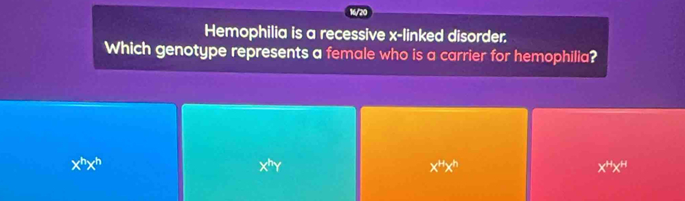 16/2
Hemophilia is a recessive x -linked disorder.
Which genotype represents a female who is a carrier for hemophilia?
x^Hx^h
X^HX^H