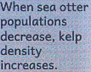 When sea otter 
populations 
decrease, kelp 
density 
increases.