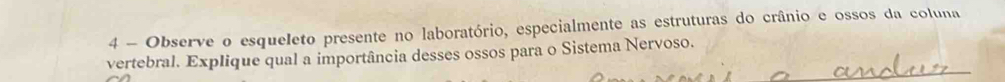 Observe o esqueleto presente no laboratório, especialmente as estruturas do crânio e ossos da coluna 
vertebral. Explique qual a importância desses ossos para o Sistema Nervoso.