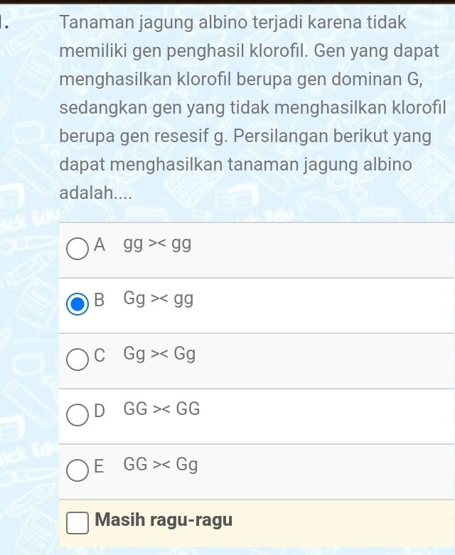 Tanaman jagung albino terjadi karena tidak
memiliki gen penghasil klorofıl. Gen yang dapat
menghasilkan klorofil berupa gen dominan G,
sedangkan gen yang tidak menghasilkan klorofil
berupa gen resesif g. Persilangan berikut yang
dapat menghasilkan tanaman jagung albino
adalah....
A gg>
B Gg>
C Gg>
D GG>∠ GG
E GG>
Masih ragu-ragu