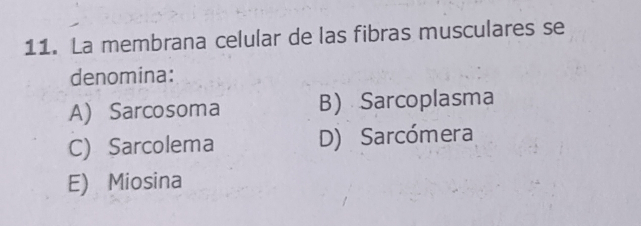 La membrana celular de las fibras musculares se
denomina:
A) Sarcosoma B Sarcoplasma
C) Sarcolema D) Sarcómera
E) Miosina