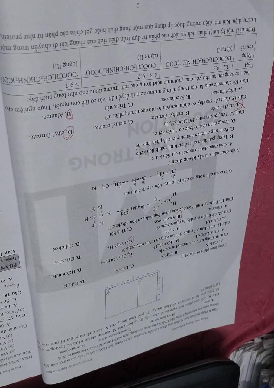 Đề ên tập tổng hợp hóa học
D. ammophos
(a) Với
(b) Vớ
(d) V
Các nhận địn
C ammonium nitrate
(c) Vớ
m & Phin bón hóa học X phin ứng được với hồn hợp gồm Cu và dụng dịch HSOs loàng thấy tạo ra một chất 
ộng màu loa nău trong không khí Chất X phân ứng với dung dịch NaOH thị có khi mùi khai thoát m. X DNA, RNA ho  Pham   Va 
âu 9. Kết quả phần tích nguyên tổ cho thấy trong hợp chất M. carbon chiếm 61,02%, hydrogen điện tích trái đã
A. (a
Phom Kạn Trong Edecetia
Câu 17. C
(M°) bảng 59
Cu^(2+)/ /Cu. K
A. Fe v
A. cm
C. Sn
Câu 18.
D. C₂H7N.
E/N
A. -0
phàn
D. CH₃NH2.
hoặc s
Cầu 10. Công thức của methyl acetate là B. C₆H₂N C.CH₃COOCH₃ D. HCOOCH₃.
Câu 1
Công thức phần tử của M là
A. CaH₁₁N
C. C₆H5NH2
A. CH₃COOC₂H₅. B. HCOOC₂H₃
D. Cellulose.
Câu 11. Chất làm giấy quỳ  tim âm chuyền thành màu xãnh là
Cầu 12. Chất nào sau đây là disaccharide? B. NaCl.
A. C₂H₅OH.
Câu 13. Phương trình hóa học của phản ứng halogen hóa ethylene laà C. Tinh bột
A. Glucose. B. Saccharose.
_H^(HC=C_H^H+Br_2)(dd)frac CCl_4 H-C-C-H BrF
CH_2=CH_2^((delta -)+Brto Brto CH_2)-CH_2-Br
Giai đoạn đầu trong cơ chế phản ứng trên xảy ra như sau:
Nhận định nảo sau đây không đúng
A. Giai đoạn đầu có sự phân cắt liên kết π .
B. Trong giai đoạn đầu có sự hình thành liên kết σ.
C. Phản ứng halogen hỏa ethylene là phân ứng thển
D. Trong phân tứ ethylene có 5 liên kết σ.
D. ethyl formate.
Câu 14. Tên gọi của ester HCOOC₂Hs là C. methyl acetate.
A ethyl acetate. B. methyl formate.
Chất nào sau đây có chứa nguyên tố nitrogen trong phân tử?
D. Alanine.
harose C. Tristearin
ối với cơ thể con người. Thực nghiệm cho
đây:
Điện di là một kỹ t
trường điện. Khi một điện trường được áp dụng qua một dung dịch hoặc gen
2