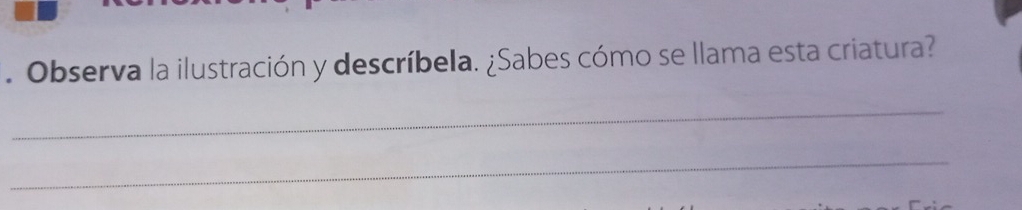 Observa la ilustración y descríbela. ¿Sabes cómo se llama esta criatura? 
_ 
_