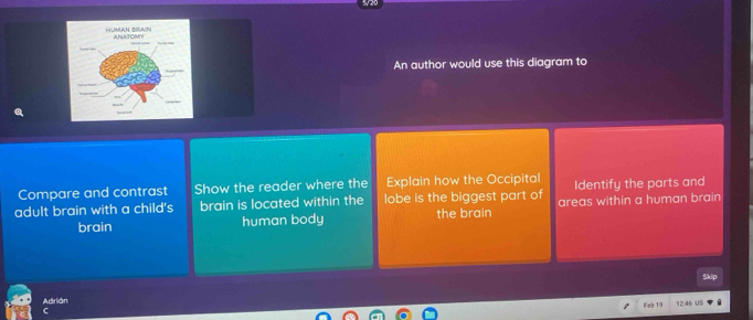 HUMAN BRAIN ANUATOMTY 
An author would use this diagram to 
Compare and contrast Show the reader where the Explain how the Occipital Identify the parts and 
adult brain with a child's brain is located within the lobe is the biggest part of areas within a human brain 
brain human body the brain 
Skip 
Adrián 
Feb 19 12:46 US