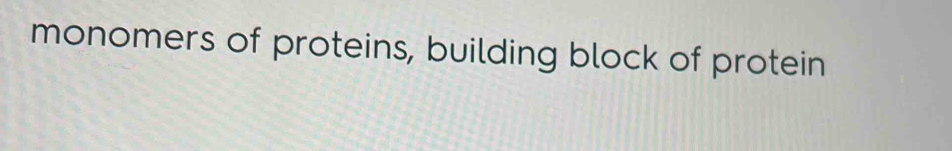monomers of proteins, building block of protein