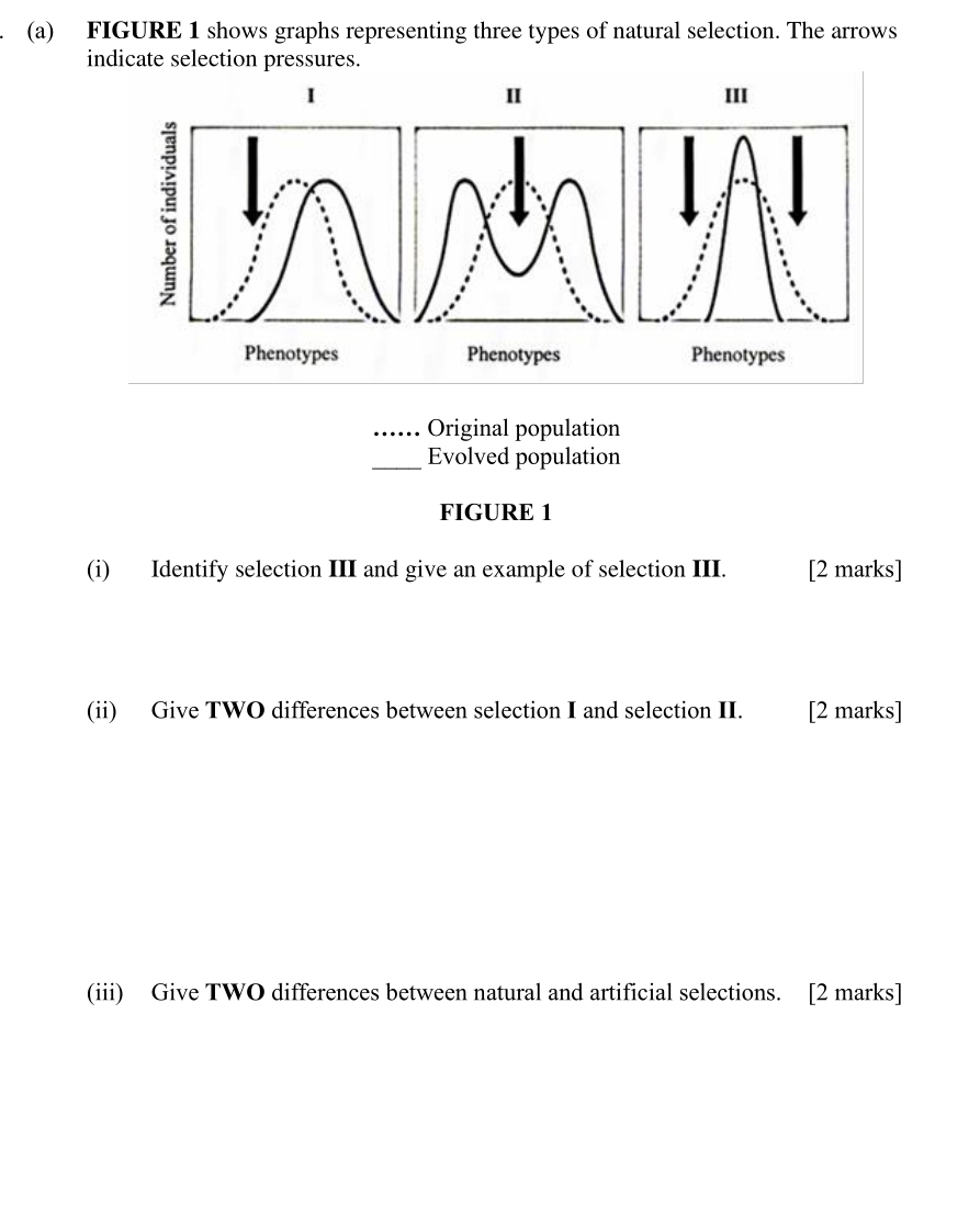 FIGURE 1 shows graphs representing three types of natural selection. The arrows 
indicate selection pressures. 
III 
Phenotypes 
_Original population 
_Evolved population 
FIGURE 1 
(i) Identify selection III and give an example of selection III. [2 marks] 
(ii) Give TWO differences between selection I and selection II. [2 marks] 
(iii) Give TWO differences between natural and artificial selections. [2 marks]