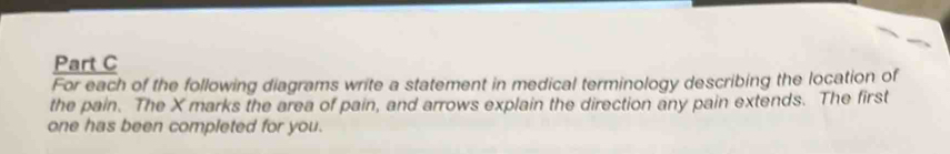 For each of the following diagrams write a statement in medical terminology describing the location of 
the pain. The X marks the area of pain, and arrows explain the direction any pain extends. The first 
one has been completed for you.