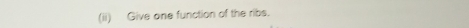 (ii) Give one function of the ribs.