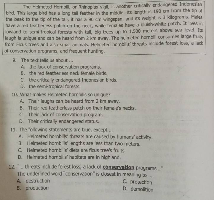 The Helmeted Hornbill, or Rhinoplax vigil, is another critically endangered Indonesian
bird. This large bird has a long tail feather in the middle. Its length is 190 cm from the tip of
the beak to the tip of the tail, it has a 90 cm wingspan, and its weight is 3 kilograms. Males
have a red featherless patch on the neck, while females have a bluish-white patch. It lives in
lowland to semi-tropical forests with tall, big trees up to 1,500 meters above sea level. Its
laugh is unique and can be heard from 2 km away. The helmeted hornbill consumes large fruits
from Ficus trees and also small animals. Helmeted hornbills' threats include forest loss, a lack
of conservation programs, and frequent hunting.
9. The text tells us about ...
A. the lack of conservation programs.
B. the red featherless neck female birds.
C. the critically endangered Indonesian birds.
D. the semi-tropical forests.
10. What makes Helmeted hornbills so unique?
A. Their laughs can be heard from 2 km away.
B. Their red featherless patch on their female’s necks.
C. Their lack of conservation program,
D. Their critically endangered status.
11. The following statements are true, except ...
A. Helmeted hornbills’ threats are caused by humans’ activity.
B. Helmeted hornbills’ lengths are less than two meters.
C. Helmeted hornbills’ diets are ficus tree’s fruits
D. Helmeted hornbills’ habitats are in highland.
12. “... threats include forest loss, a lack of conservation programs...”
The underlined word “conservation” is closest in meaning to ...
A. destruction C. protection
B. production D. demolition