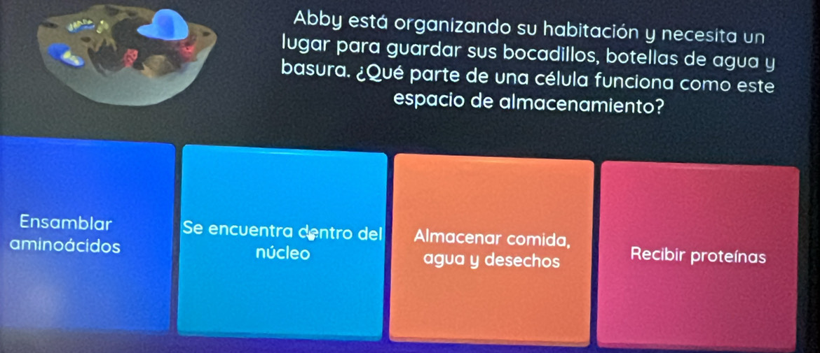 Abby está organizando su habitación y necesita un 
lugar para guardar sus bocadillos, botellas de agua y 
basura. ¿Qué parte de una célula funciona como este 
espacio de almacenamiento? 
Ensamblar Se encuentra dentro del Almacenar comida, 
aminoácidos núcleo agua y desechos Recibir proteínas