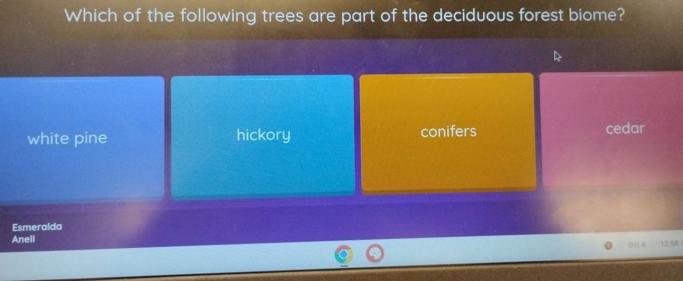 Which of the following trees are part of the deciduous forest biome?
white pine hickory
conifers cedar
Esmeralda
Anell
Oct 4 12:58