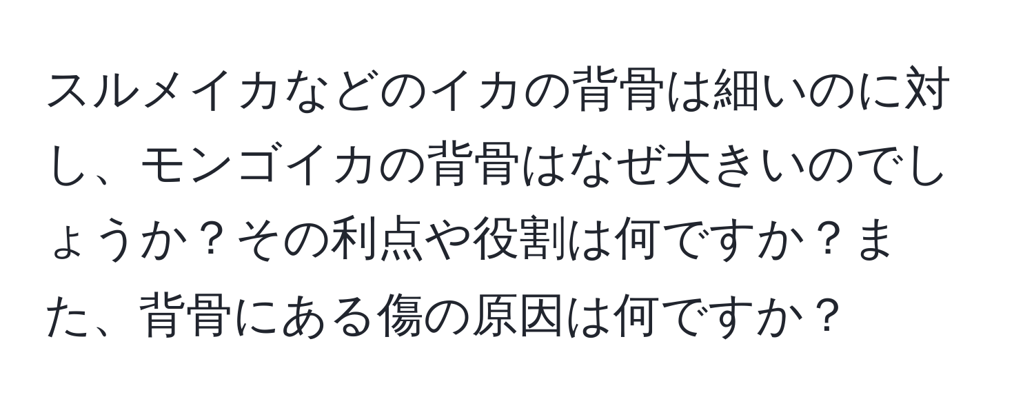 スルメイカなどのイカの背骨は細いのに対し、モンゴイカの背骨はなぜ大きいのでしょうか？その利点や役割は何ですか？また、背骨にある傷の原因は何ですか？