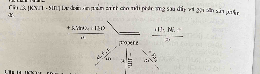 [KNTT - SBT] Dự đoán sản phẩm chính cho mỗi phản ứng sau đây và gọi tên sản phẩm 
đó.
frac +KMnO_4+H_2O(s)
propene
frac +H_2,Ni,t°(1)

x
frac x∈ N^*·  p/(4)  (3) beginarrayr + 1 1endarray sqrt 8^ 
(2) 
Câu 14 IKNTT