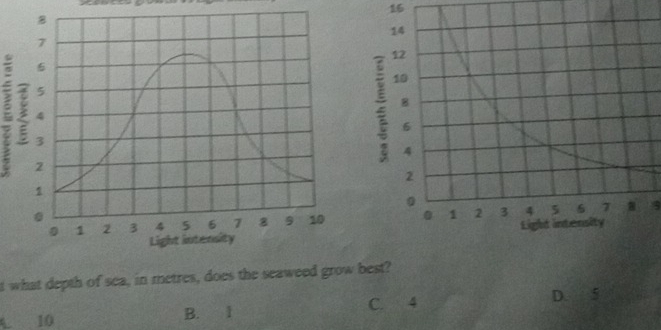 what depth of sea, in metres, does the seaweed grow best?
A 10 B. 1 C. 4
D. 5