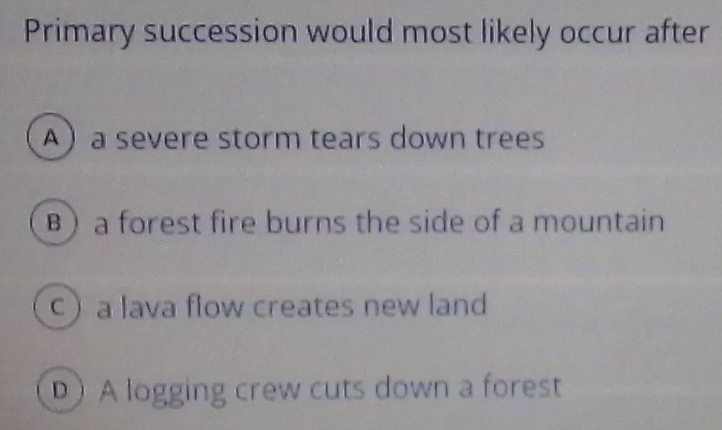 Primary succession would most likely occur after
Aa severe storm tears down trees
B a forest fire burns the side of a mountain
c a lava flow creates new land
A logging crew cuts down a forest