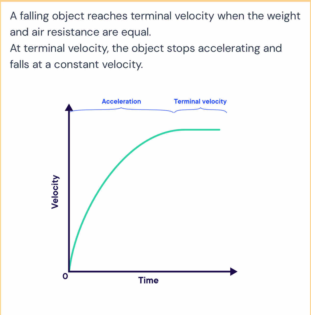 A falling object reaches terminal velocity when the weight 
and air resistance are equal. 
At terminal velocity, the object stops accelerating and 
falls at a constant velocity.